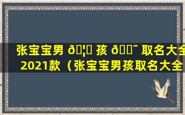 张宝宝男 🦟 孩 🐯 取名大全2021款（张宝宝男孩取名大全2021款四字）